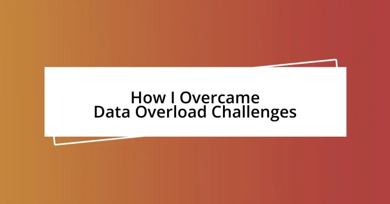 How I Overcame Data Overload Challenges