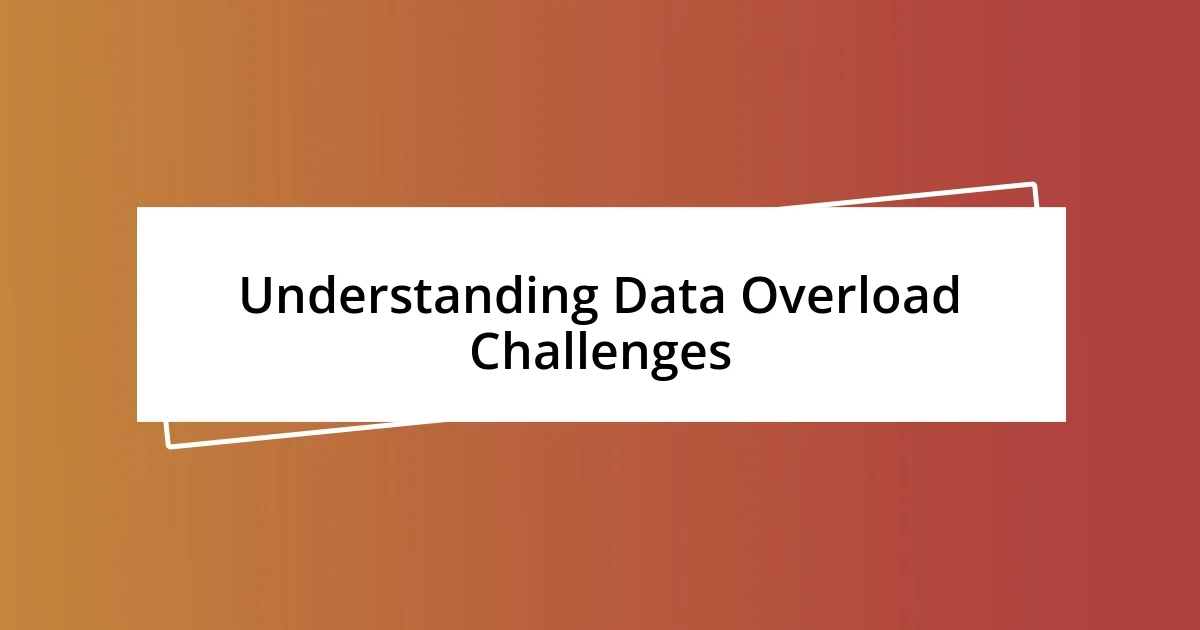 Understanding Data Overload Challenges