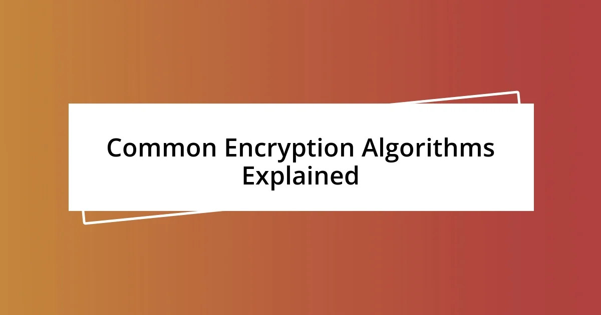 Common Encryption Algorithms Explained