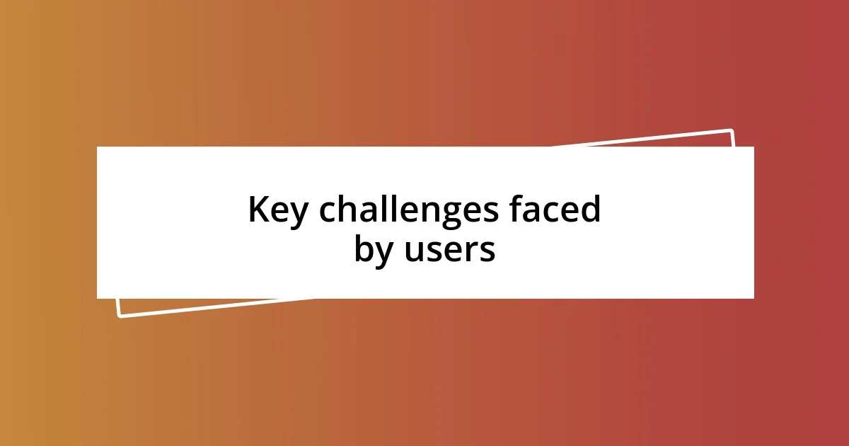 Key challenges faced by users