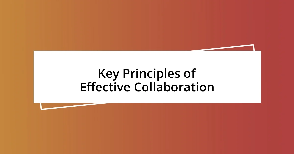 Key Principles of Effective Collaboration